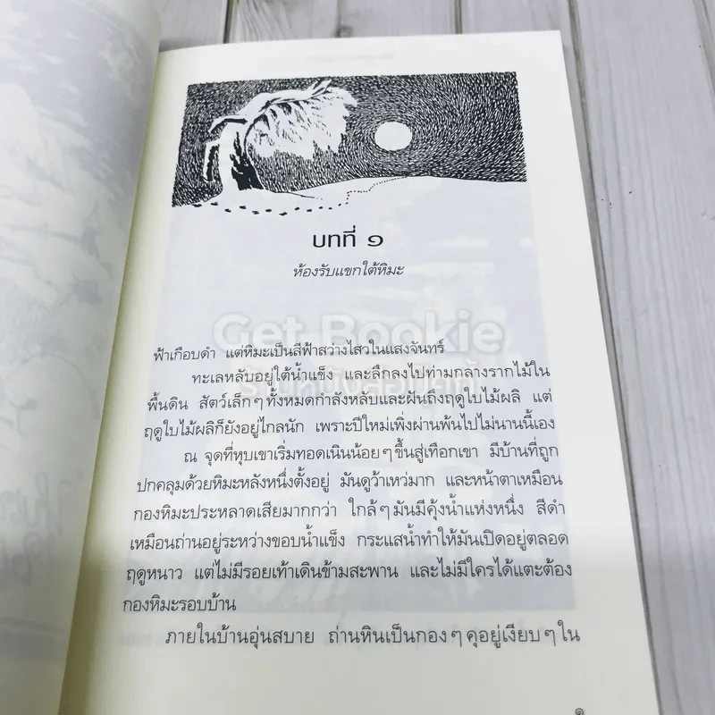 เมืองมูมินกลางฤดูหนาว รูปที่ 10