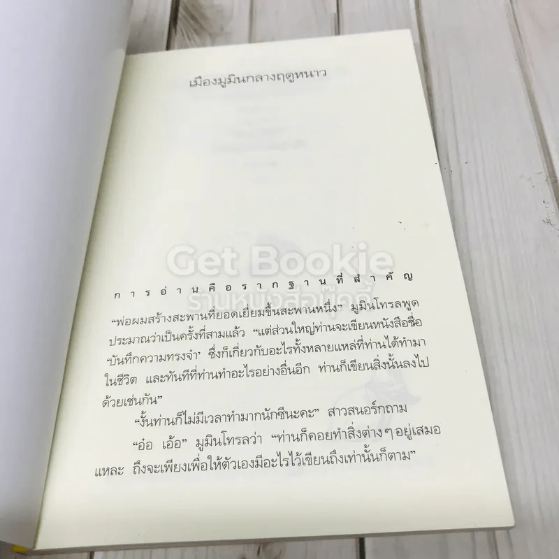 เมืองมูมินกลางฤดูหนาว รูปที่ 4