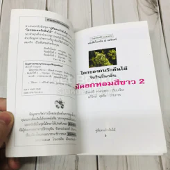 คู่มือคนรักต้นไม้ ไม้ดอกหอม สีขาว 2 รูปที่ 4