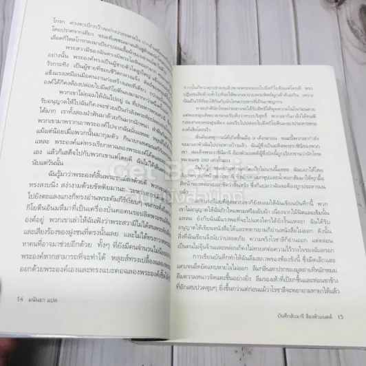 บันทึกลับมารี อ็องตัวแนตต์ รูปที่ 7