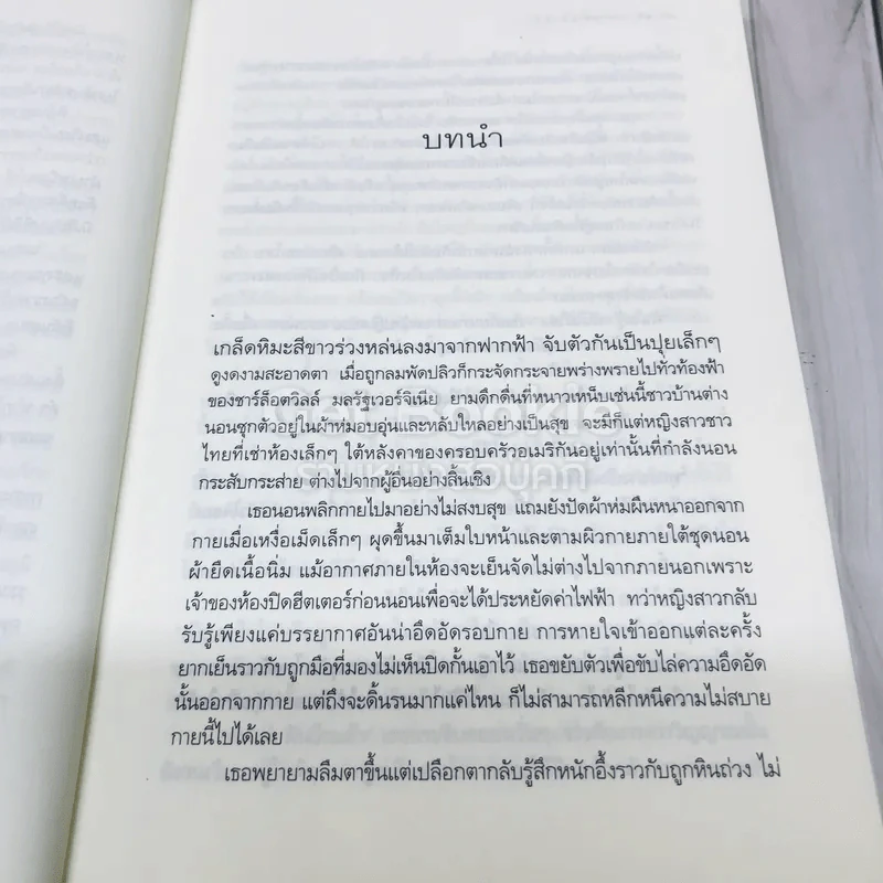 ตราบสิ้นสิเน่หา รูปที่ 6