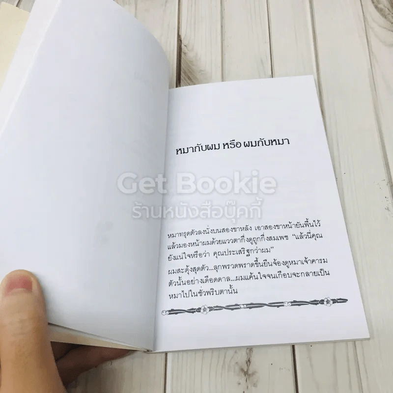 รำลึกชาติ (นี้) รูปที่ 9