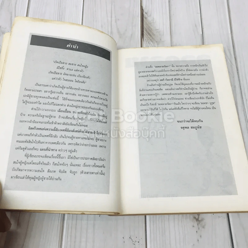 ลอดลายกัลยา - จตุพล ชมภูนิช รูปที่ 6