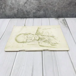 อนุสรณ์งานพระราชทานเพลิงศพหลวงปู่ขาว อนาลโย รูปที่ 2
