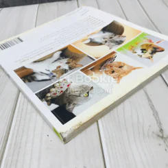 ทูนหัวของบ่าว รูปที่ 4