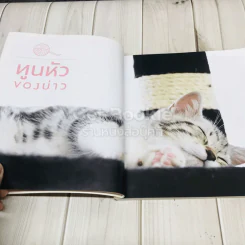 ทูนหัวของบ่าว รูปที่ 10