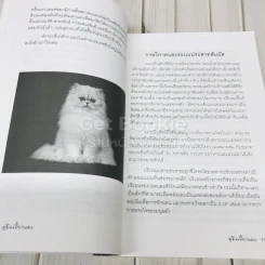 คู่มือเลี้ยงแมว The Cat Handbook รูปที่ 8