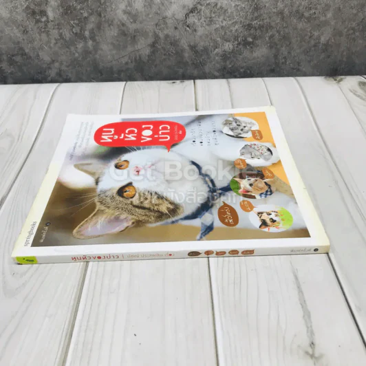 ทูนหัวของบ่าว รูปที่ 2