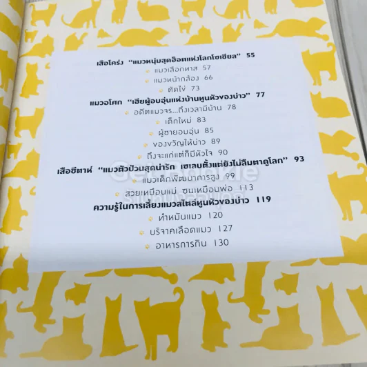 ทูนหัวของบ่าว รูปที่ 9