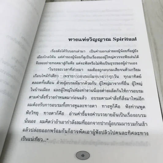 วิญญาณ Spirit แห่งนักปกครอง รูปที่ 6