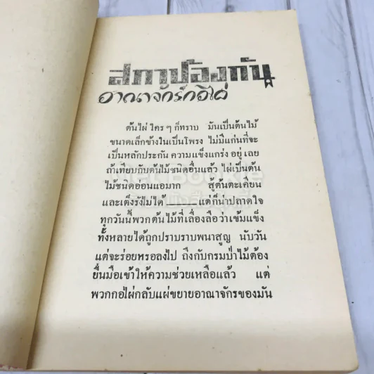 สภาป้องกันอาณาจักรกอไผ่ ข้าราชการกองทัพบก รูปที่ 8