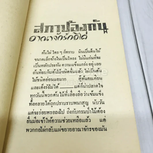 สภาป้องกันอาณาจักรกอไผ่ ข้าราชการกองทัพบก รูปที่ 7