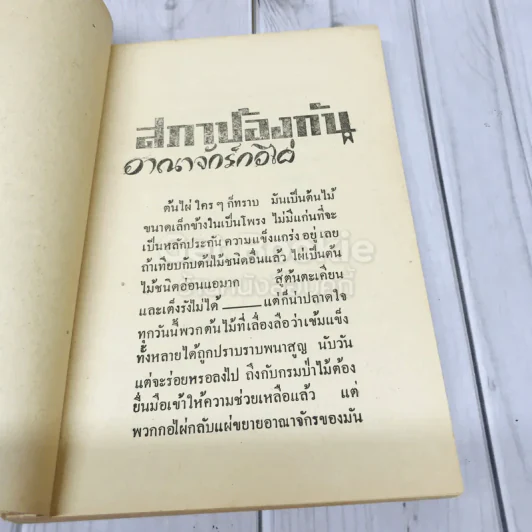 สภาป้องกันอาณาจักรกอไผ่ ข้าราชการกองทัพบก รูปที่ 8