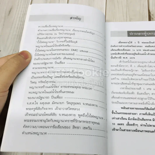 พญานาค รูปที่ 6