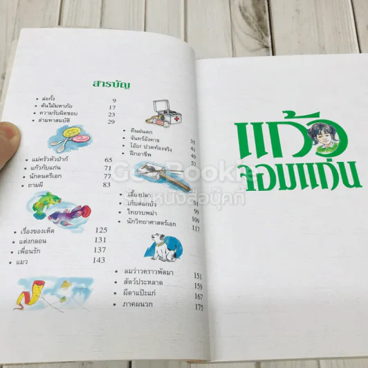 แก้วจอมแก่น + แก้วจอมซน รูปที่ 8