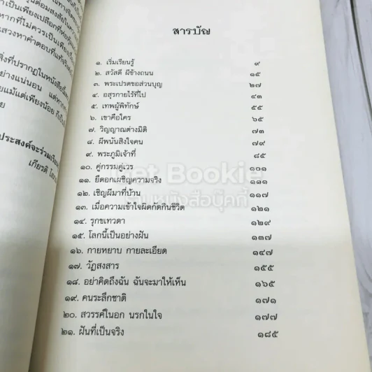 พาท่องโลกทิพย์ - เกียรติโสภณ รูปที่ 5