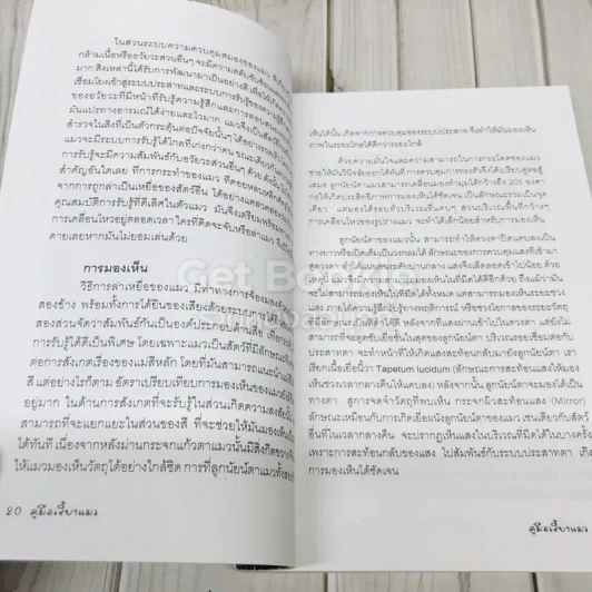 คู่มือเลี้ยงแมว The Cat Handbook รูปที่ 9