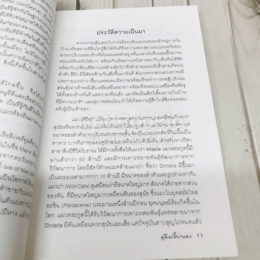 คู่มือเลี้ยงแมว The Cat Handbook รูปที่ 7