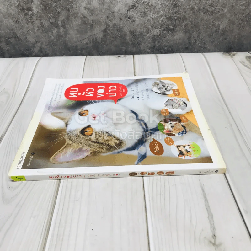 ทูนหัวของบ่าว รูปที่ 2
