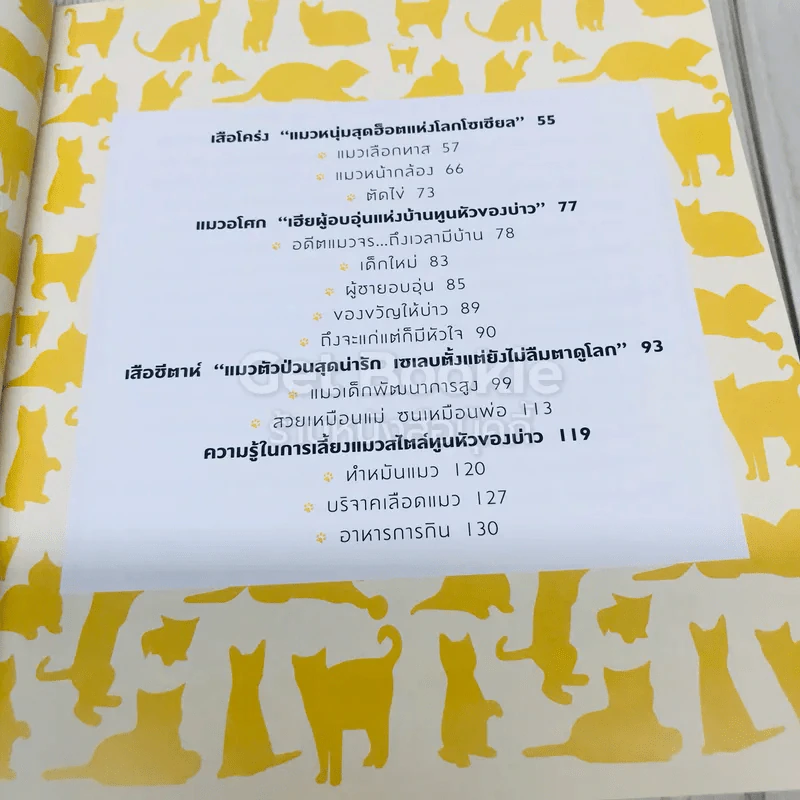 ทูนหัวของบ่าว รูปที่ 9