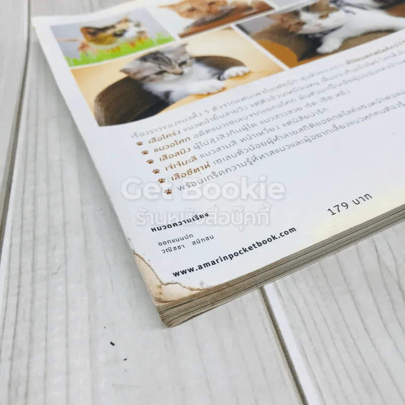 ทูนหัวของบ่าว รูปที่ 5
