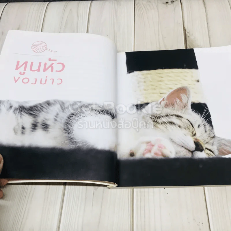 ทูนหัวของบ่าว รูปที่ 10