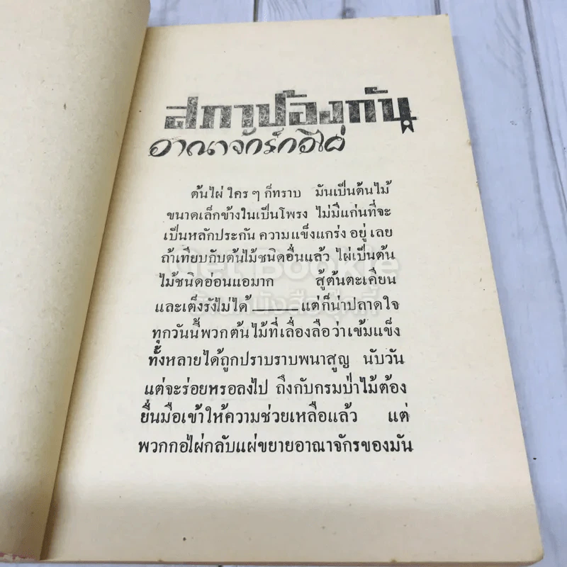 สภาป้องกันอาณาจักรกอไผ่ ข้าราชการกองทัพบก รูปที่ 8