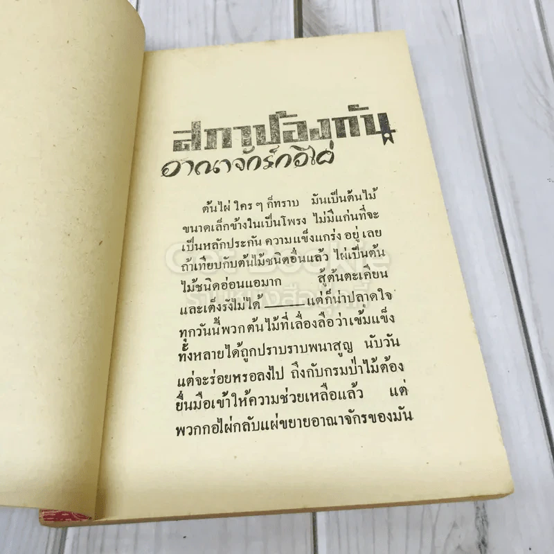 สภาป้องกันอาณาจักรกอไผ่ ข้าราชการกองทัพบก รูปที่ 8