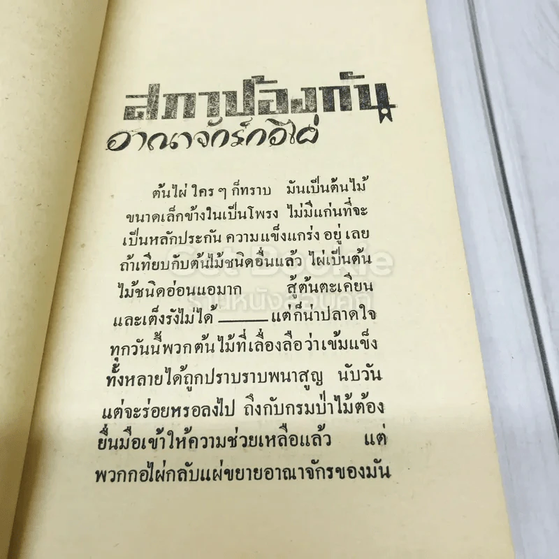 สภาป้องกันอาณาจักรกอไผ่ ข้าราชการกองทัพบก รูปที่ 7