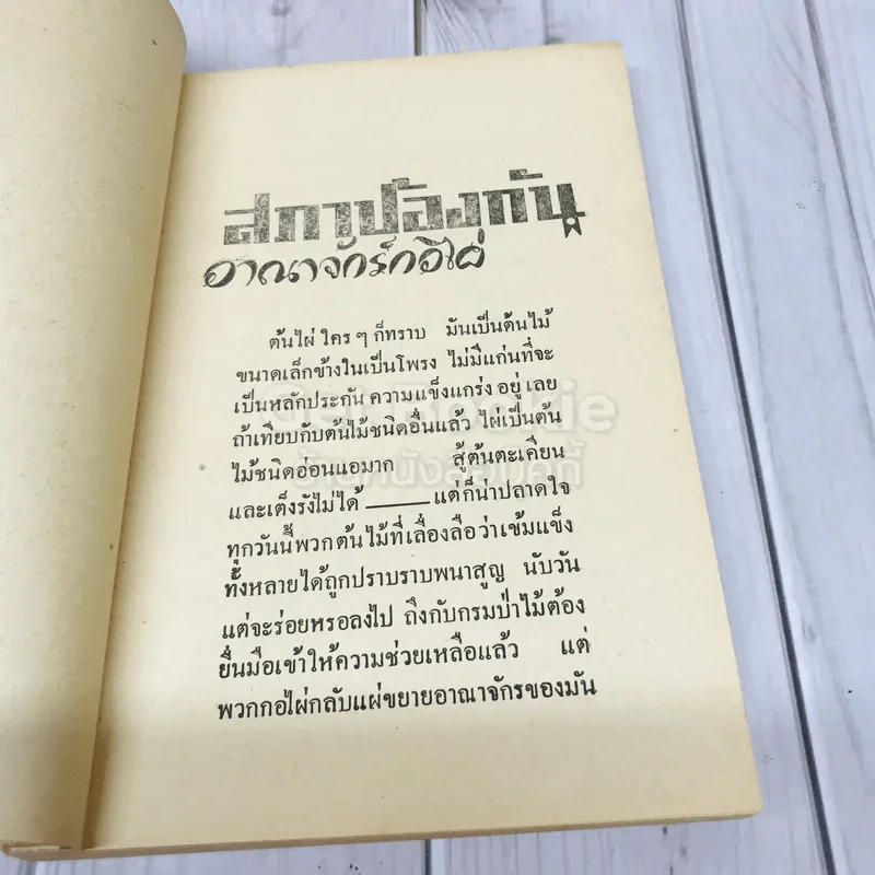 สภาป้องกันอาณาจักรกอไผ่ ข้าราชการกองทัพบก รูปที่ 8