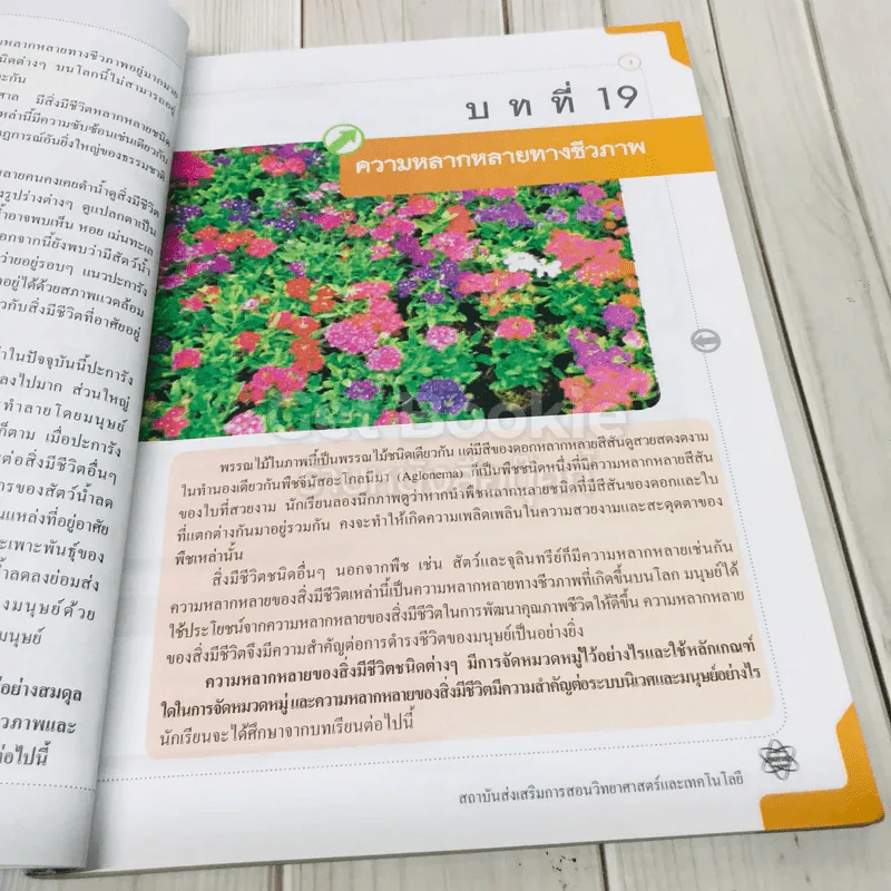 ชีววิทยา เล่ม 5 ชั้นมัธยมศึกษาปีที่ 4-6 รูปที่ 7