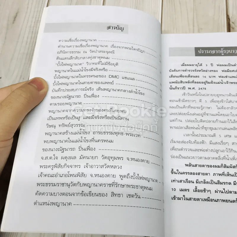 พญานาค รูปที่ 6