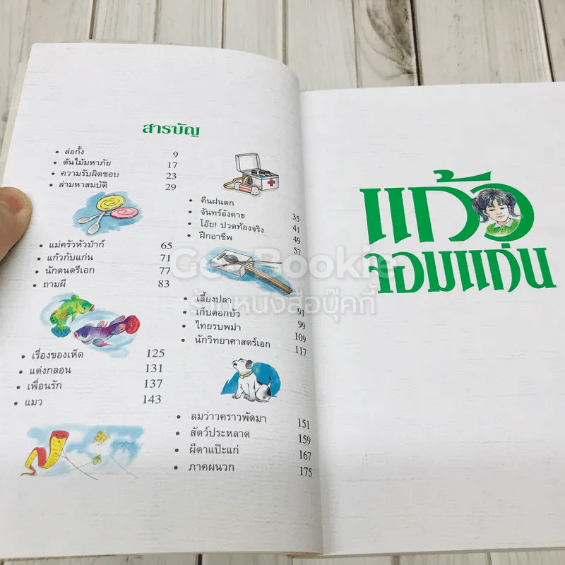 แก้วจอมแก่น + แก้วจอมซน รูปที่ 8