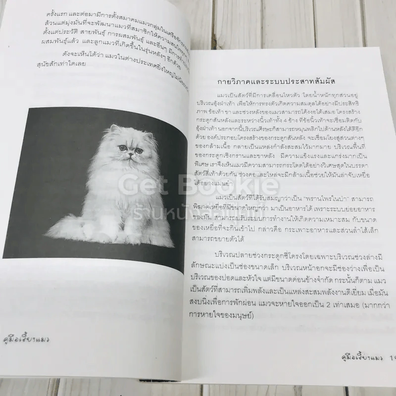 คู่มือเลี้ยงแมว The Cat Handbook รูปที่ 8
