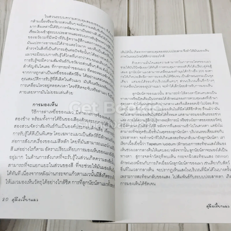 คู่มือเลี้ยงแมว The Cat Handbook รูปที่ 9