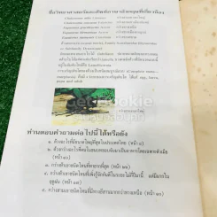 กว่างสามเขา และกว่างห้าเขา - พิสุทธิ์ เอกอำนวย รูปที่ 10