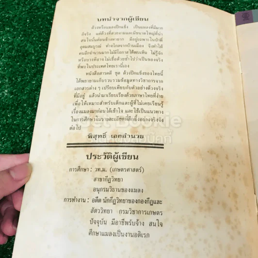 กว่างสามเขา และกว่างห้าเขา - พิสุทธิ์ เอกอำนวย รูปที่ 4