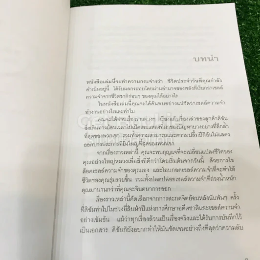 ชาติภพแห่งการบำบัด เปลี่ยนตัวเองอย่างลึกซึ้งถึงระดับจิตวิญญาณ รูปที่ 8