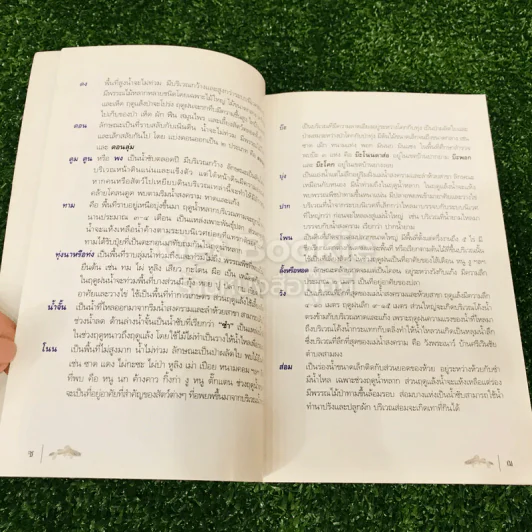 พันธุ์ปลาในป่าทาม ความรู้พื้นถิ่นของคนหาปลาลุ่มน้ำสงครามตอนล่าง รูปที่ 10