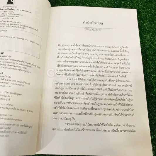 เราต่างหลงทางในความเป็นผู้ใหญ่ - Bushy รูปที่ 6