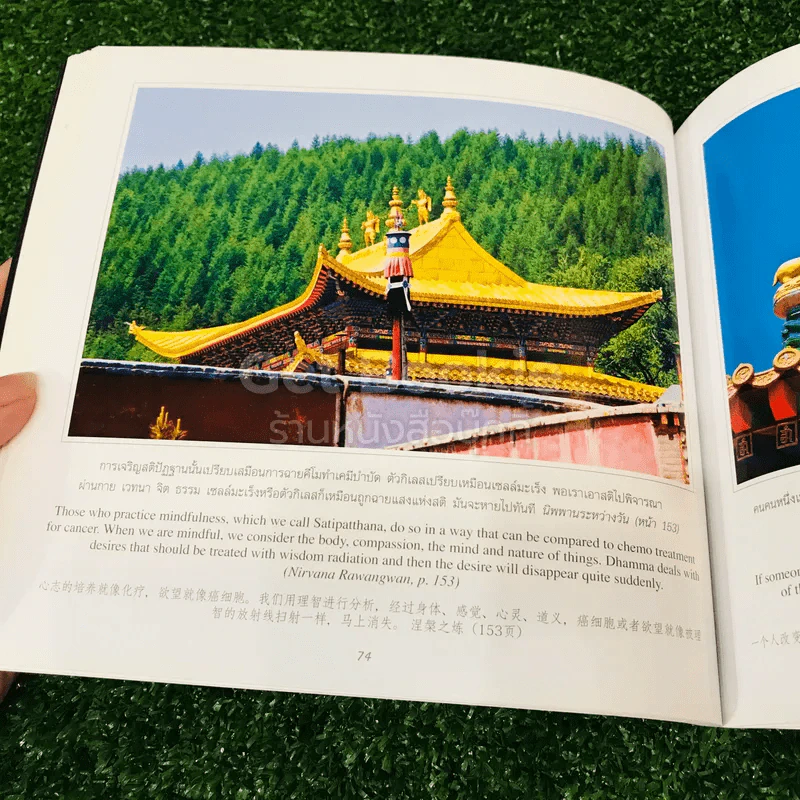 ทิเบต : เส้นทางสู่สวรรค์ รูปที่ 17
