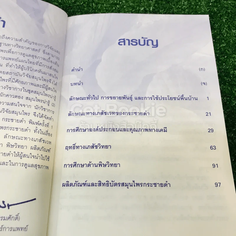 สมุนไพรน่ารู้ (4) กระชายดำ รูปที่ 7