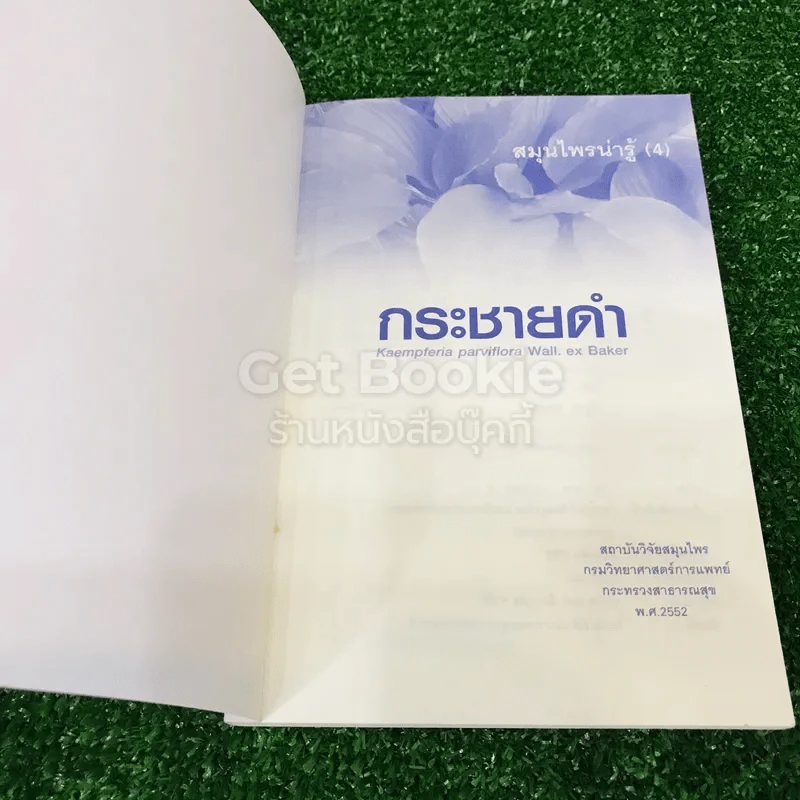 สมุนไพรน่ารู้ (4) กระชายดำ รูปที่ 4