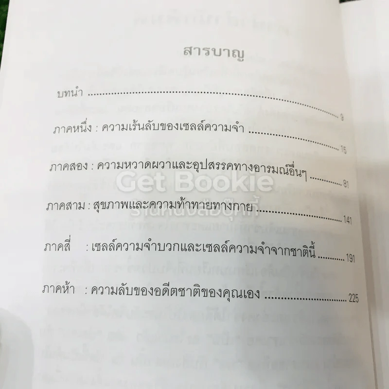 ชาติภพแห่งการบำบัด เปลี่ยนตัวเองอย่างลึกซึ้งถึงระดับจิตวิญญาณ รูปที่ 7