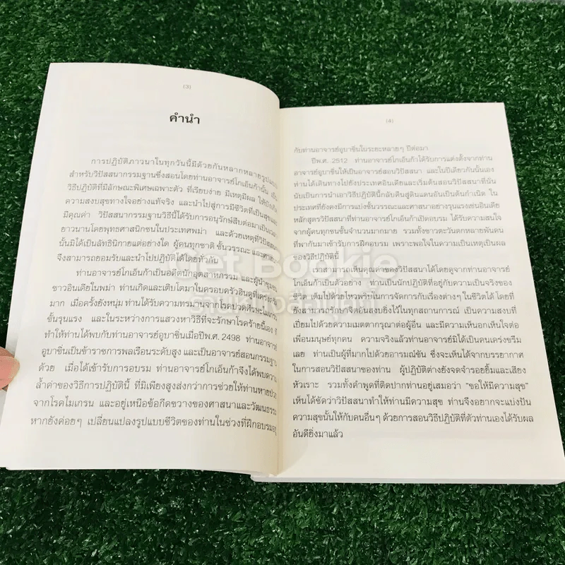 ศิลปะในการดำเนินชีวิต รูปที่ 10