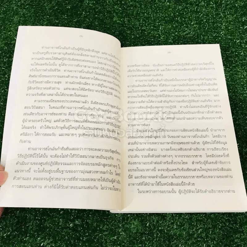 ศิลปะในการดำเนินชีวิต รูปที่ 11