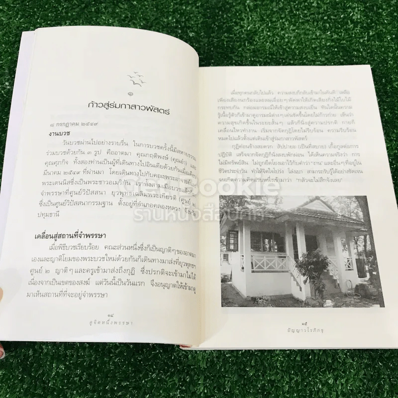 ดูจิตหนึ่งพรรษา รูปที่ 9