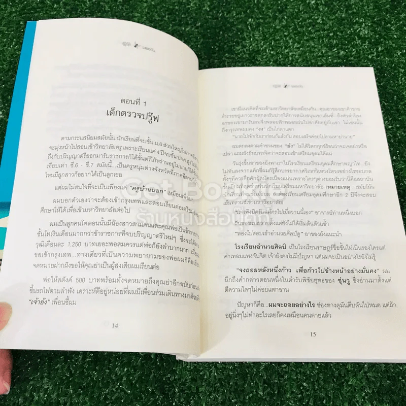 ปฏิวัติแมลงวัน รูปที่ 11