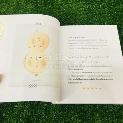 ประโยคย้อนแสง - ประภาส ชลศรานนท์ รูปที่ 12