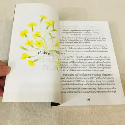 กฎแห่งกรรม ธรรมปฏิบัติ เล่ม 7 รูปที่ 8